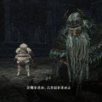 Dark Souls II Crown of the Old Iron King DLC 1508 14