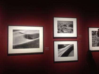 Sebastiao Salgado mostra genesi Milano