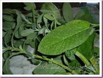 Cotolette vegetariane al profumo di salvia (1)