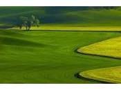 Vendita terreni: tutte tasse pagare tipologia