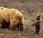 L'Orso Bruno Daniza