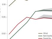 Foreste europee: cambiamento climatico