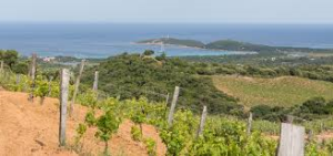 panorama dal domaine con la baia sullo sfondo