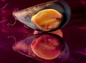 COZZE Ecco scoperta colla riparare corpo umano