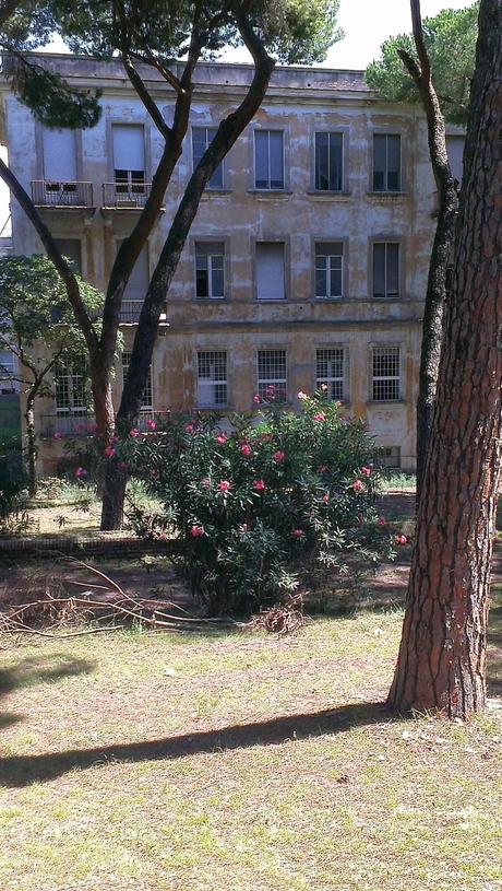 Le condizioni dell'Ospedale Forlanini. Un vanto, un nosocomio modello a livello mondiale negli anni Trenta. Oggi in abbandono