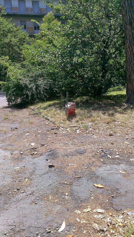 Le condizioni dell'Ospedale Forlanini. Un vanto, un nosocomio modello a livello mondiale negli anni Trenta. Oggi in abbandono