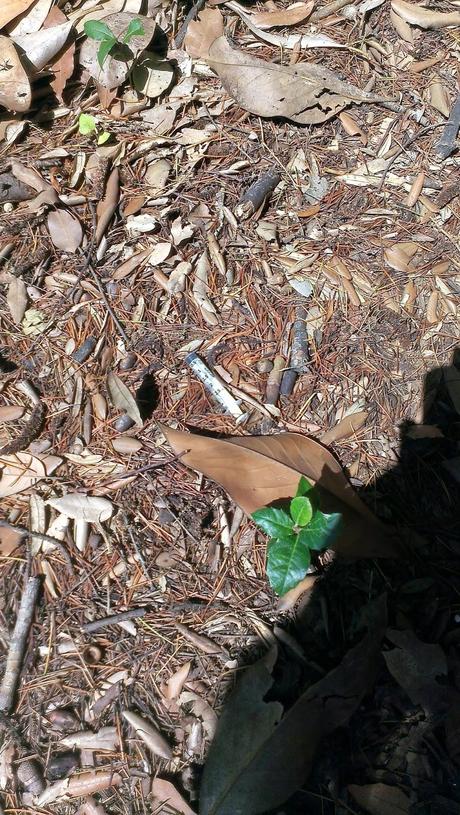 Le condizioni dell'Ospedale Forlanini. Un vanto, un nosocomio modello a livello mondiale negli anni Trenta. Oggi in abbandono