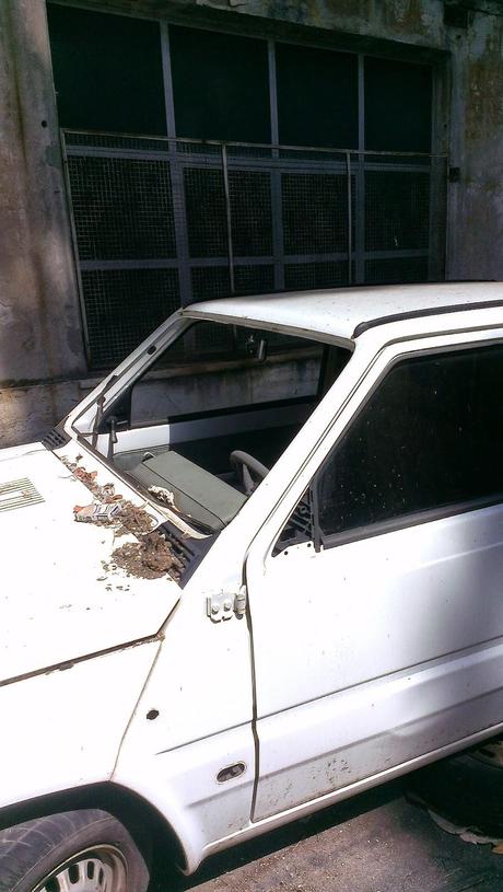 Le condizioni dell'Ospedale Forlanini. Un vanto, un nosocomio modello a livello mondiale negli anni Trenta. Oggi in abbandono