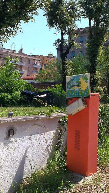 Le condizioni dell'Ospedale Forlanini. Un vanto, un nosocomio modello a livello mondiale negli anni Trenta. Oggi in abbandono