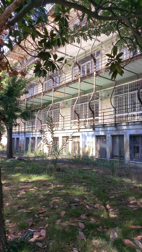 Le condizioni dell'Ospedale Forlanini. Un vanto, un nosocomio modello a livello mondiale negli anni Trenta. Oggi in abbandono