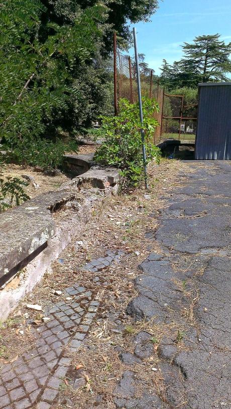 Le condizioni dell'Ospedale Forlanini. Un vanto, un nosocomio modello a livello mondiale negli anni Trenta. Oggi in abbandono