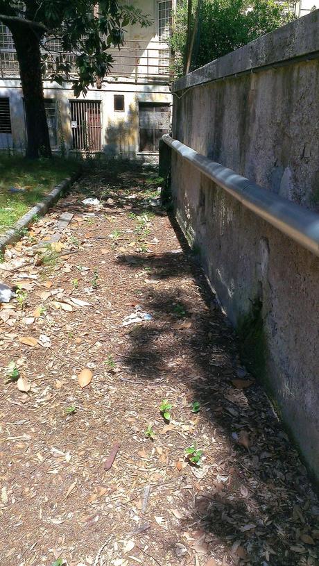 Le condizioni dell'Ospedale Forlanini. Un vanto, un nosocomio modello a livello mondiale negli anni Trenta. Oggi in abbandono