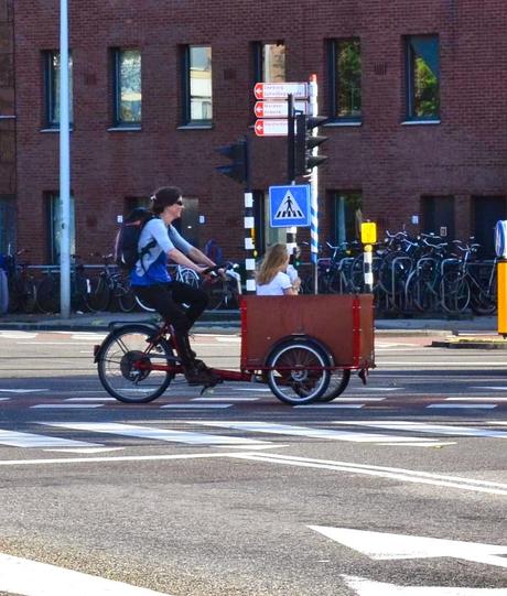 I confronti: l'abisso che ci separa da Amsterdam. Mezzi pubblici, arredo urbano, aree verdi, stazioni, rifiuti e molto altro