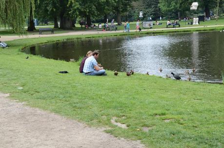 I confronti: l'abisso che ci separa da Amsterdam. Mezzi pubblici, arredo urbano, aree verdi, stazioni, rifiuti e molto altro