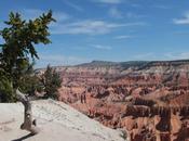 Cedar Breaks Capitol Reef, altre perle rosse dello Utah