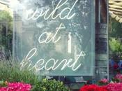 #DOMANDE intercontinentali