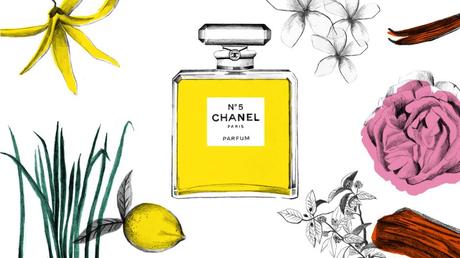 Illustrazione profumo Chanel N 5 - Note olfattive