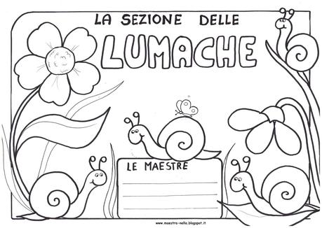 sezione delle libellule, delle lumache, delle crisalidi, delle api e delle farfalle