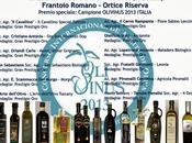 OLIVINUS Mendoza: blocchi partenza concorso oleario America.