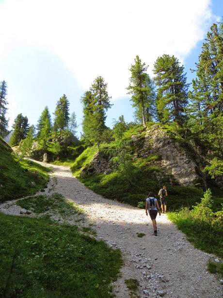 escursione al rifugio capanna tondi faloria