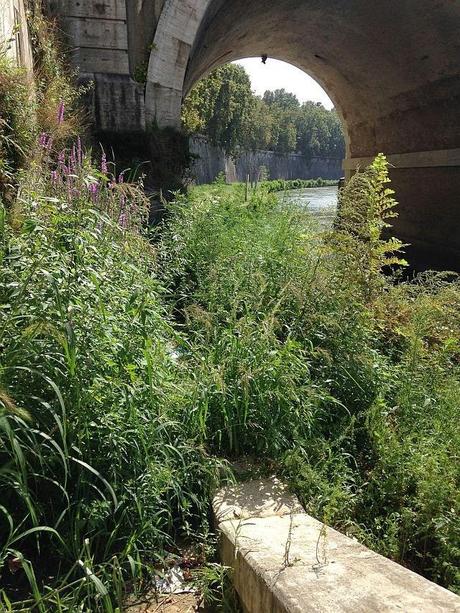 E questi sarebbero artisti o vandali da arrestare? Massacrato di graffiti anche lo storico idrometro di Ripetta