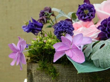 Raccogliere fiori in giardino