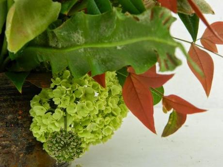 Una corona per Maggio al Poggio