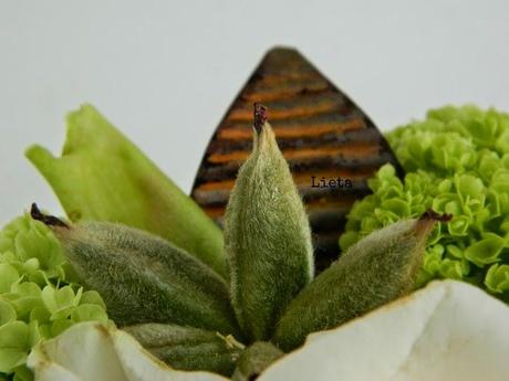 Una corona per Maggio al Poggio