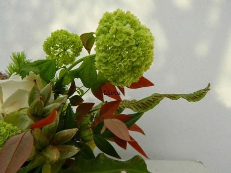 Una corona per Maggio al Poggio