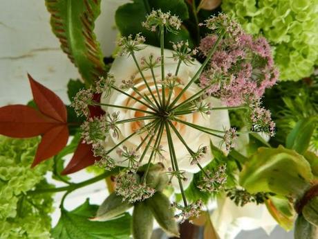 Una corona per Maggio al Poggio