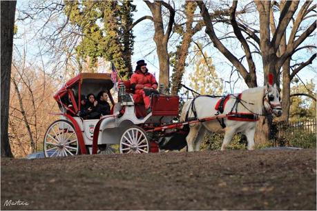 Visitare Central Park: 8 punti per scoprire il polmone verde di New York