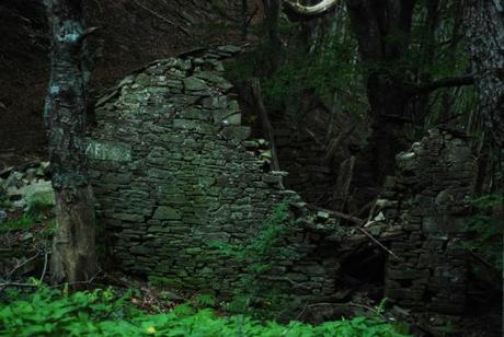 Ruderi ormai tutt'uno col bosco, la Caffa