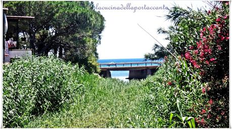 L'isola e il mare