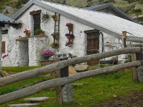 Al rifugio Selleries, l'elogio della polenta