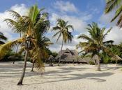 Geronimo padre Alex Bagamoyo Beach /Birra investigazione