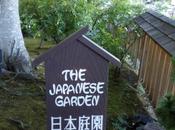 Pace tranquillità: Japanese Garden