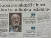 Pietro Perrino: nelle stesse aree delle piante infette Xylella Fastidiosa convivono altre che, invece, sono sane