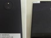 Lumia 830: foto possibile prezzo iniziale euro