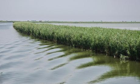 Delta del Po 3: Dove finisce il fiume