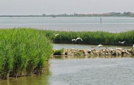 Delta del Po 3: Dove finisce il fiume