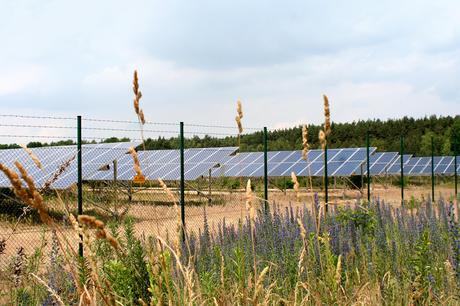 25/08/2014 - Il mercato secondario del fotovoltaico non si ferma: Milk the Sun registra la prima vendita post spalma-incentivi