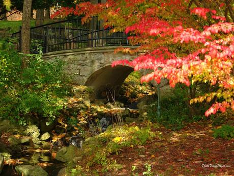 FRA STATI UNITI E CANADA....PER RIFARSI UN PO' GLI OCCHI!!!