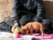 PERUGIA: Accattonaggio molesto, stretta Comune