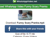 WhatsApp download scaricare Video Divertenti inviare agli amici