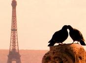 A.A.A. Libro Cercasi