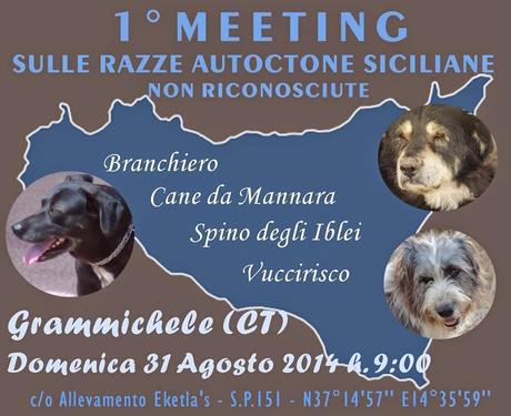 “Club del Pastore Siciliano”, un meeting sulle razze canine siciliane non riconosciute