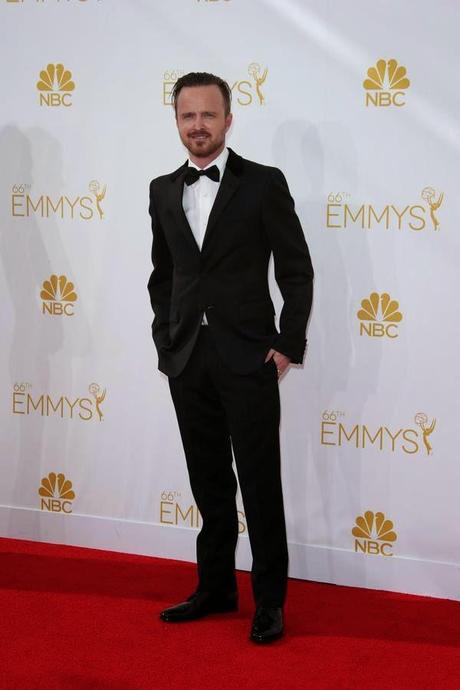 Emmy 2014 - Il Red Carpet