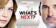 “Grey’s Anatomy 11”: banner promozionale