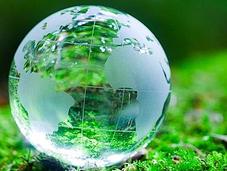 Cosa licenza sociale?