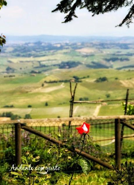 Sei mai stato a Montalcino? Insalata di cuori di indivia, fichi e Notti Bianche